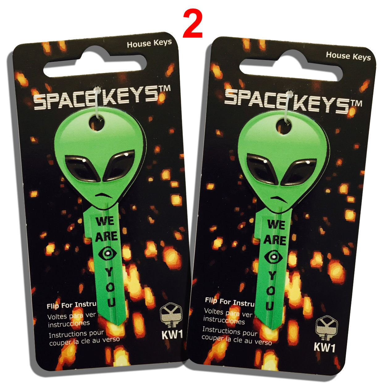 Alien Key Types Alien Shaped Keys Space Keys, Cosmic Keys.